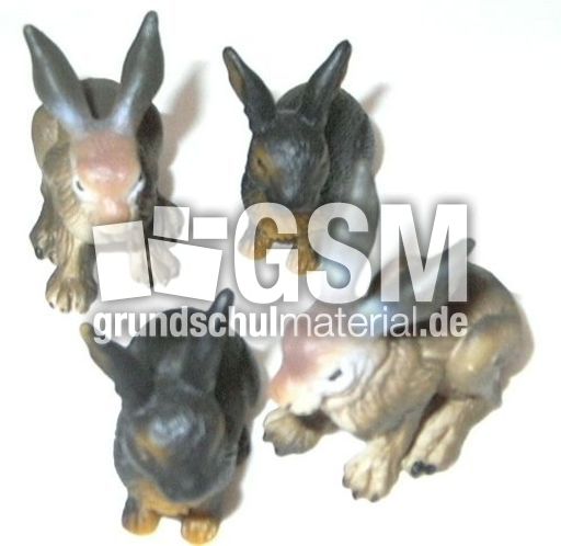 Hasen-4.jpg